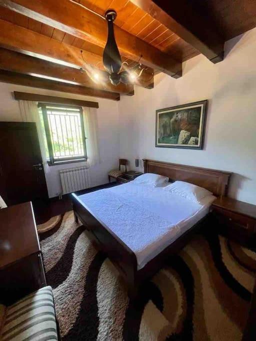 Villa Blake's Budva